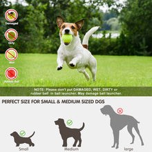 Automatic Throwing Machine  Pet Toy Ball Dog Tennis Launcher Dog Walking Tool