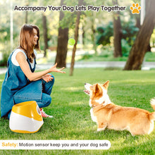 Automatic Throwing Machine  Pet Toy Ball Dog Tennis Launcher Dog Walking Tool