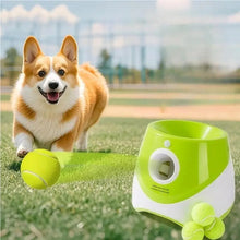Automatic Throwing Machine  Pet Toy Ball Dog Tennis Launcher Dog Walking Tool