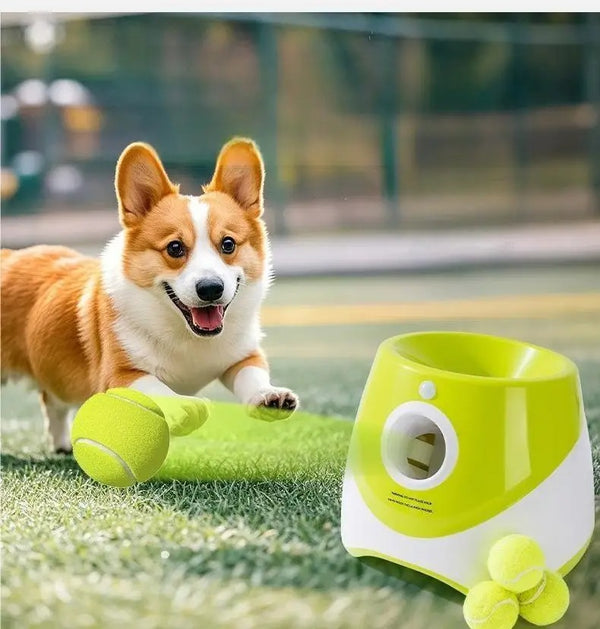 Automatic Throwing Machine  Pet Toy Ball Dog Tennis Launcher Dog Walking Tool