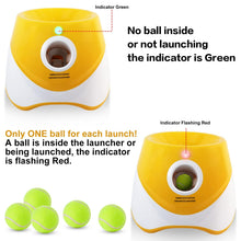 Automatic Throwing Machine  Pet Toy Ball Dog Tennis Launcher Dog Walking Tool
