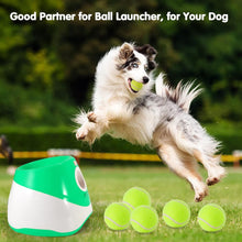 Automatic Throwing Machine  Pet Toy Ball Dog Tennis Launcher Dog Walking Tool