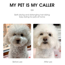 Pet Hair Dryer Dog Hair Blowing Artifact Hot Air Comb Dog Hair Pulling Integrated Hair Dryer Blowing Hair Comb Dog Supplies